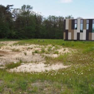 de randen rond de poel zijn ingezaaid met heischrale vegetatie