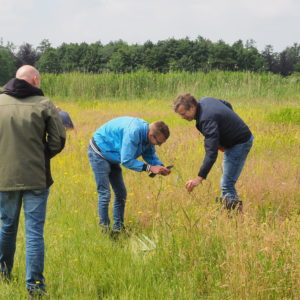 cursus NL Zoemt Friesland-Groningen