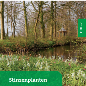 Vakboek Stinzenplanten