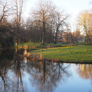 Het Park in Rotterdam